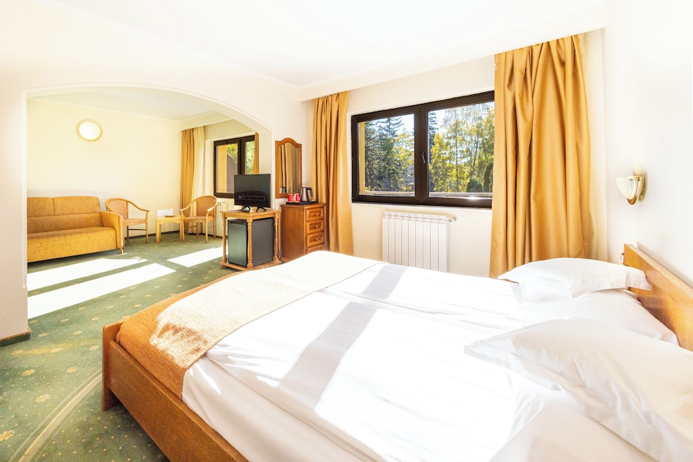 Hotel Casa Viorel 10/50