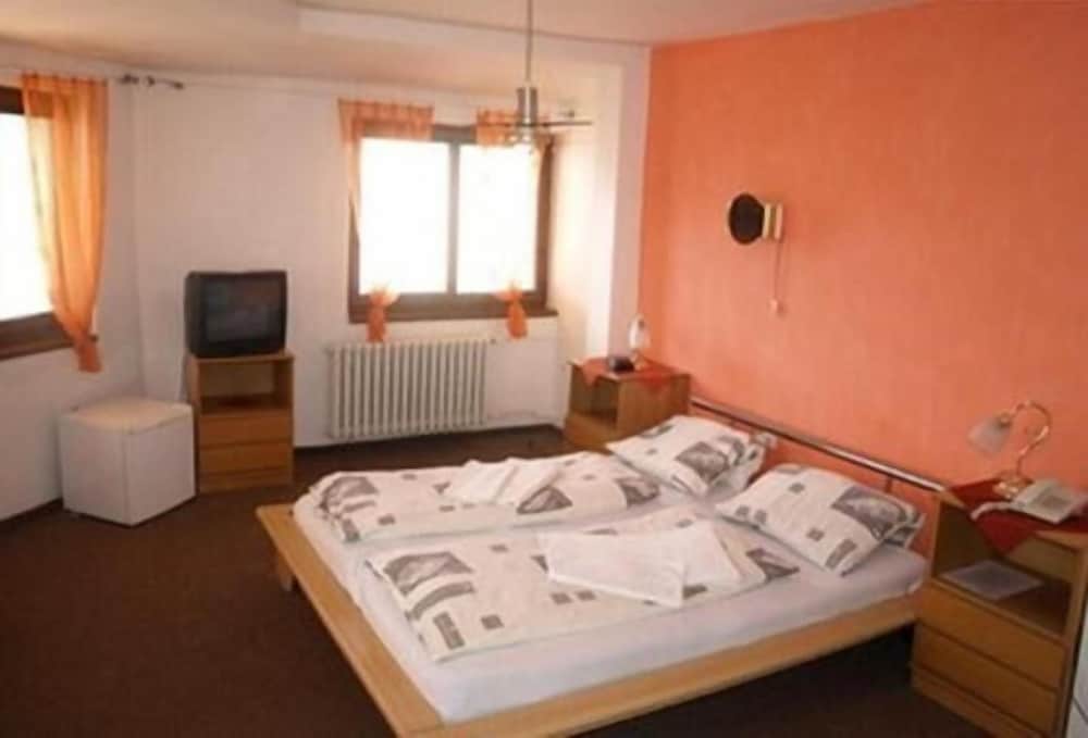 Hotel Slovan Zilina 18/22