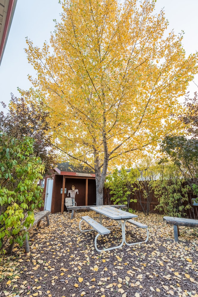 Pinedale Cozy Cabins 24/27