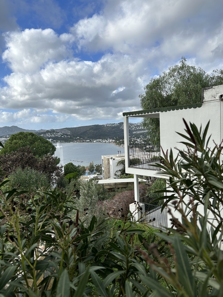 Riva Bodrum Resort - Adult Only +16 55/67