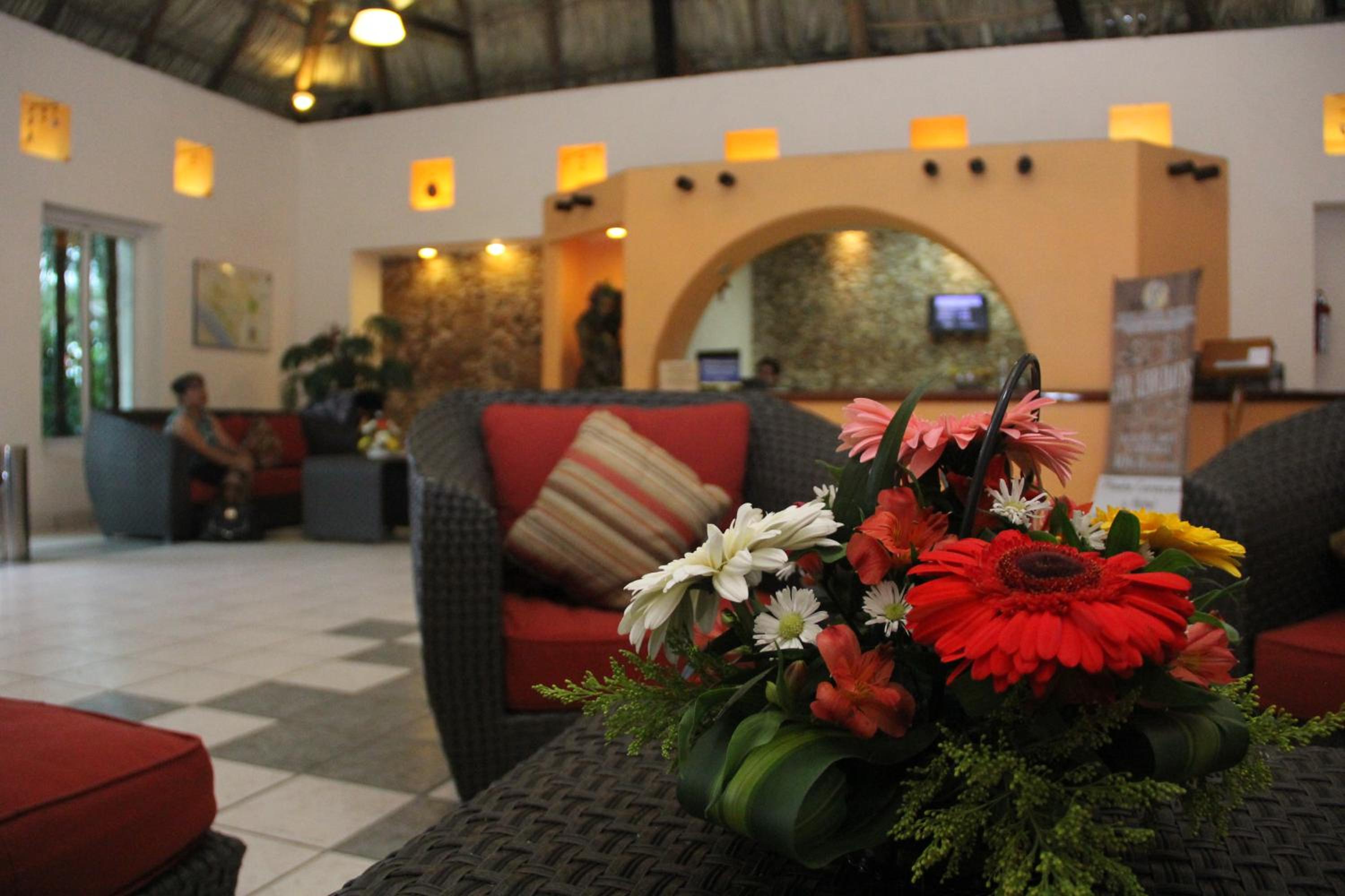 Hotel Palapa Palace 24/50