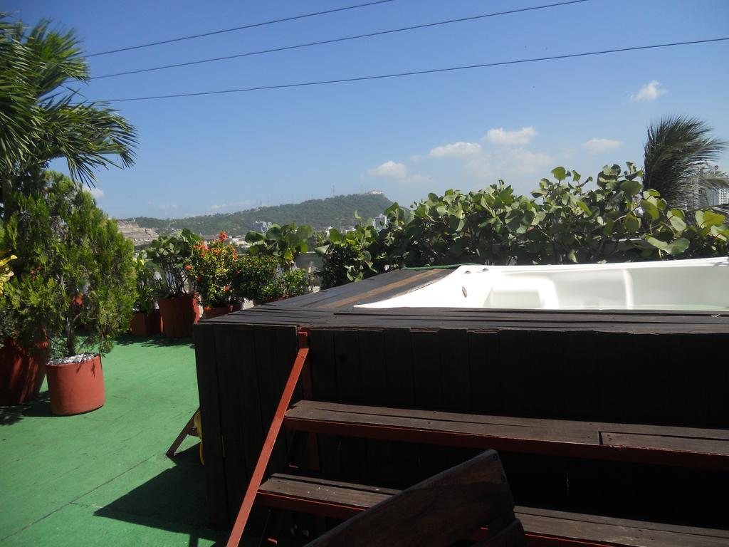 Patio de Getsemani 25/50