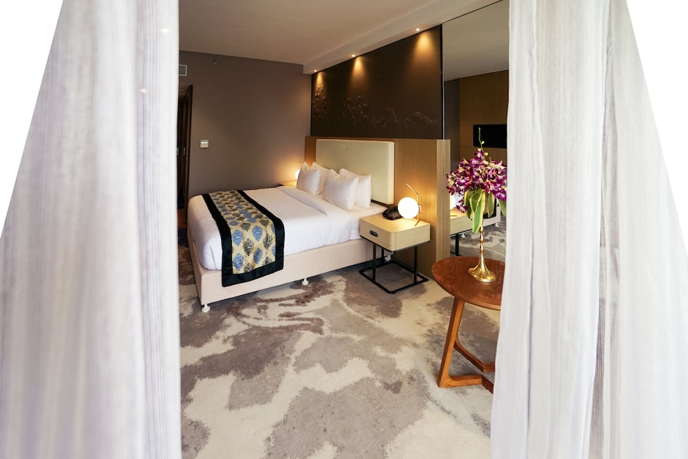 Clarks Inn Suites Raipur 23/50