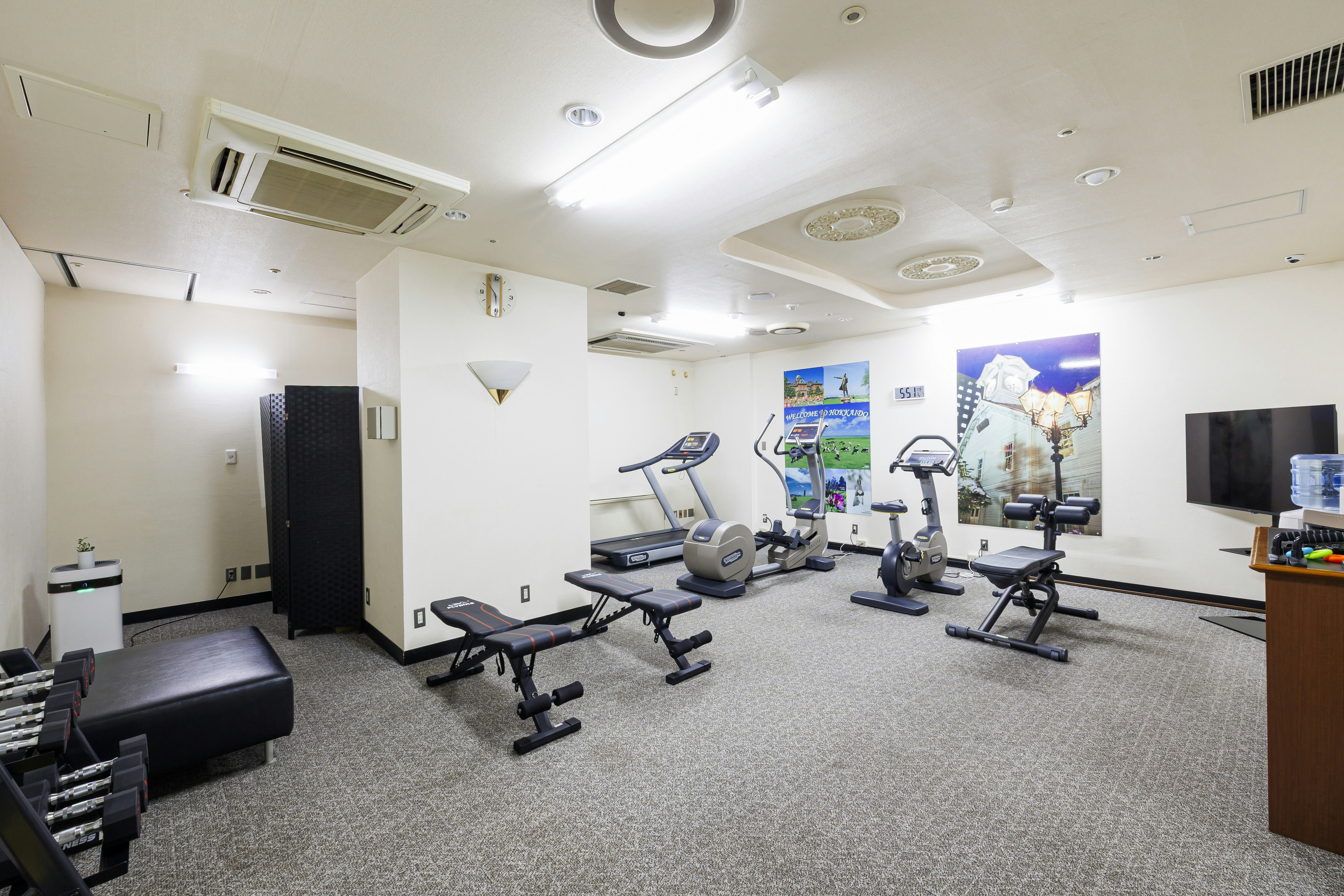 Ana Holiday Inn Sapporo Susukino 32/66