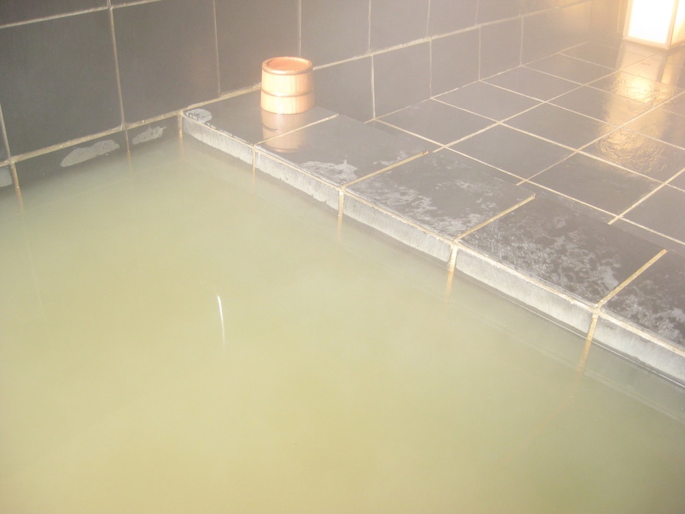 Onsen Hotel Holiday Afternoon 17/40