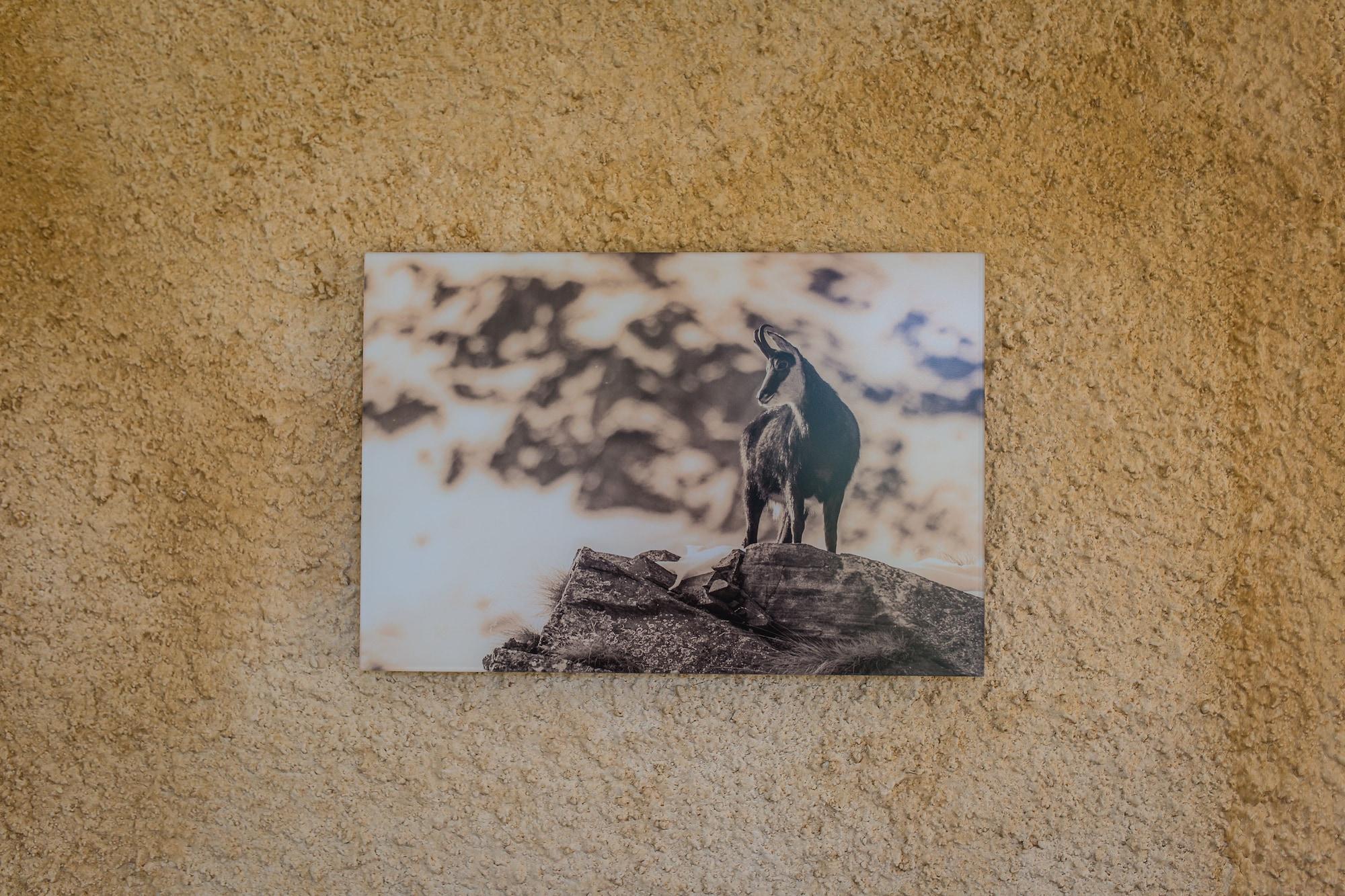 Hotel Alpenblick 28/50