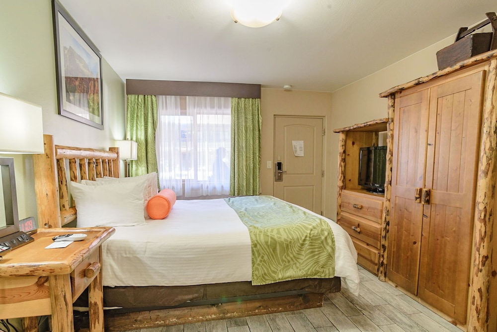 Zion Pioneer Lodge 17/66
