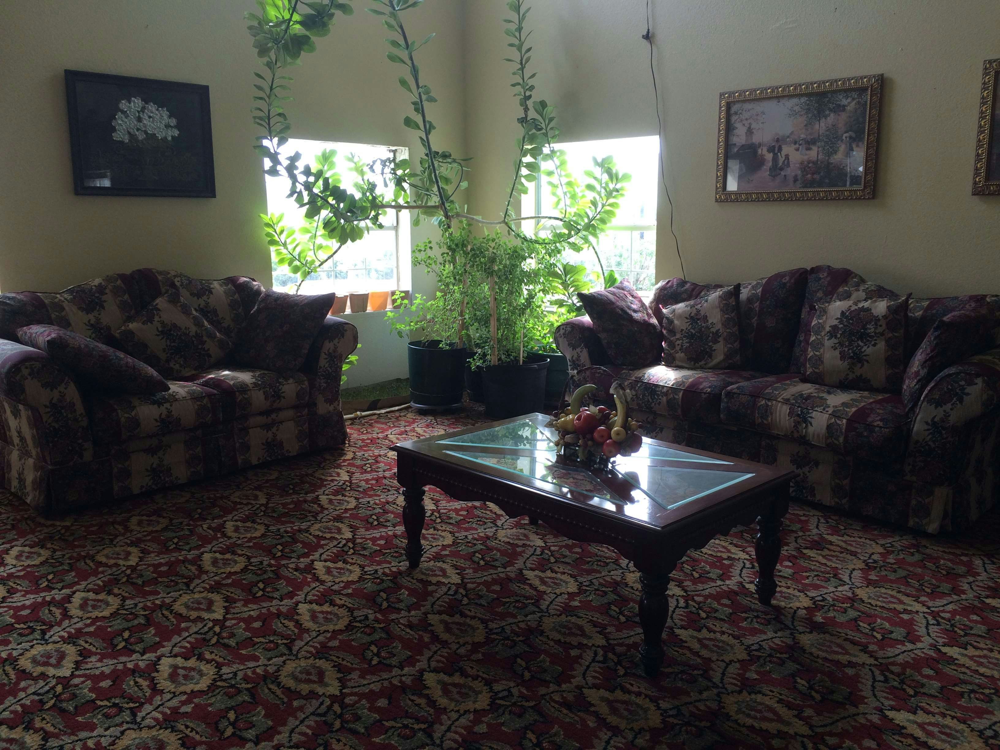 EXECUTIVE INN AND SUITES SCHULENBURG 15/20