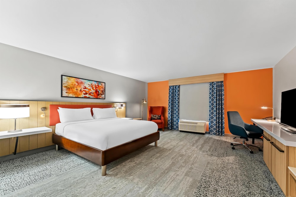 Evolution, King Bed