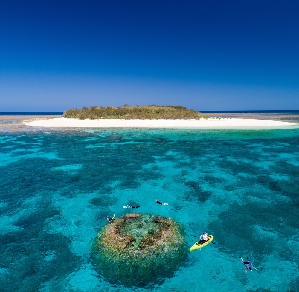 Wilson Island Resort 20/38
