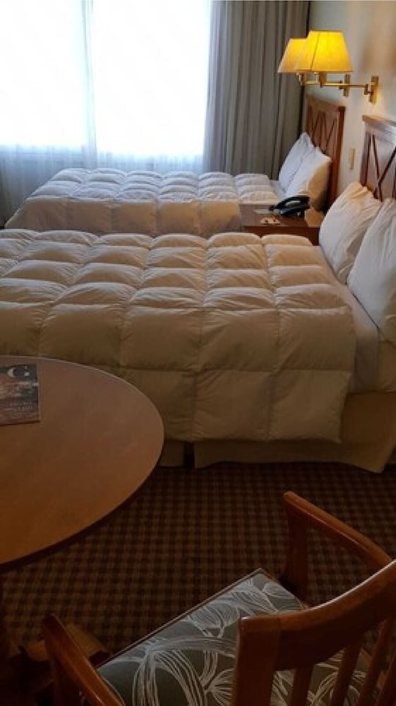 Paradores Austral Bahia Blanca 24/59