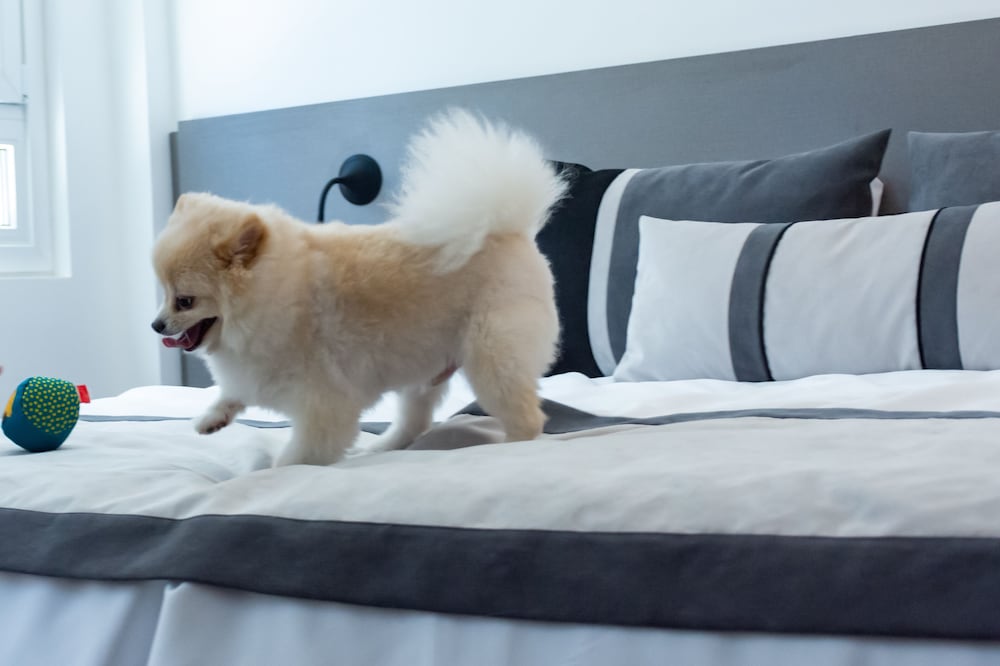 Ibis Styles Buenos Aires Florida 12/25