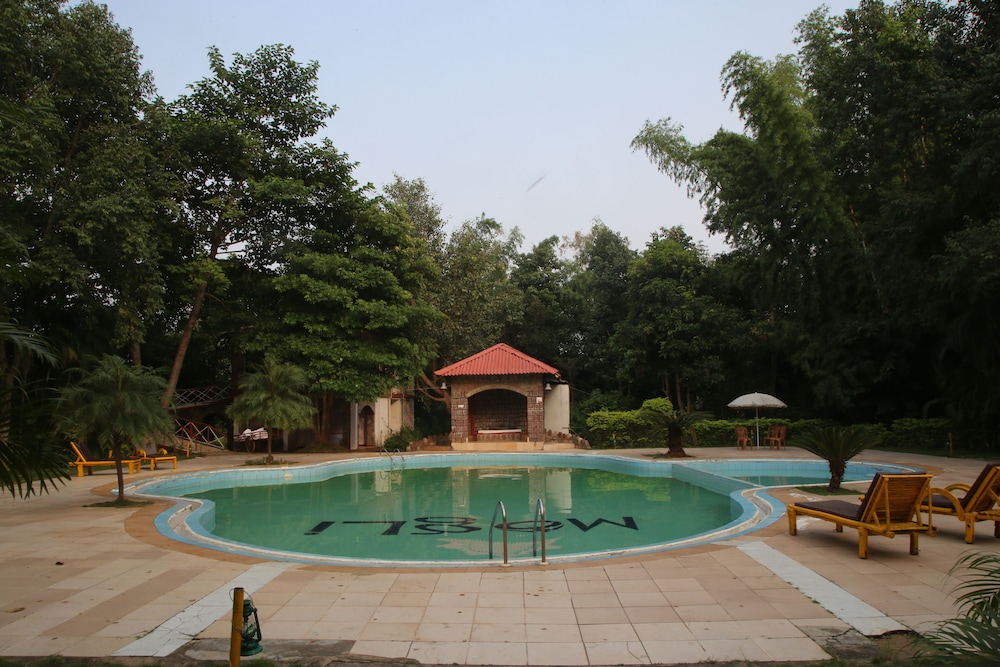 Mogli Jungle Resorts 42/47