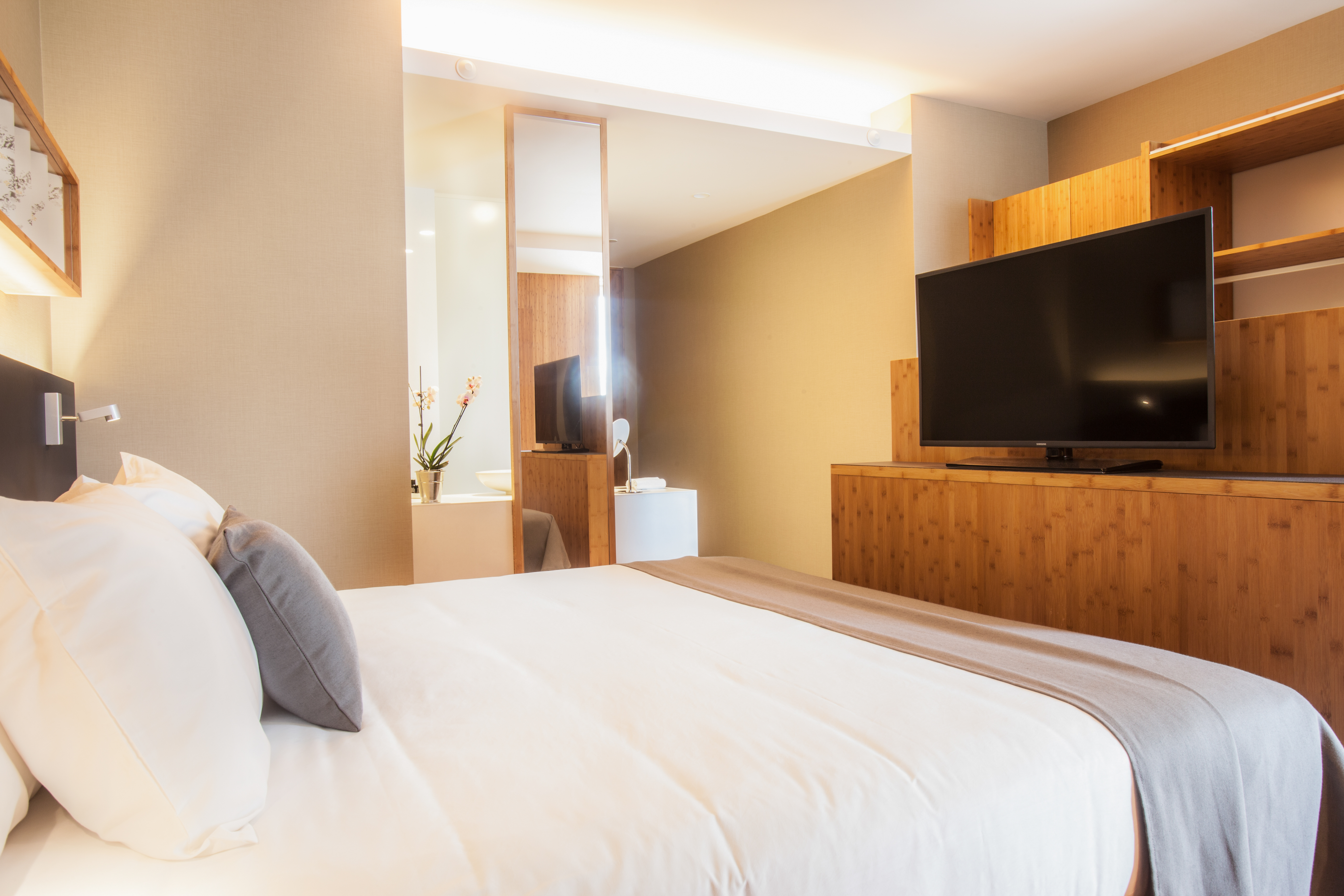 ROOM, DOUBLE BED, WITH EXTRA BED