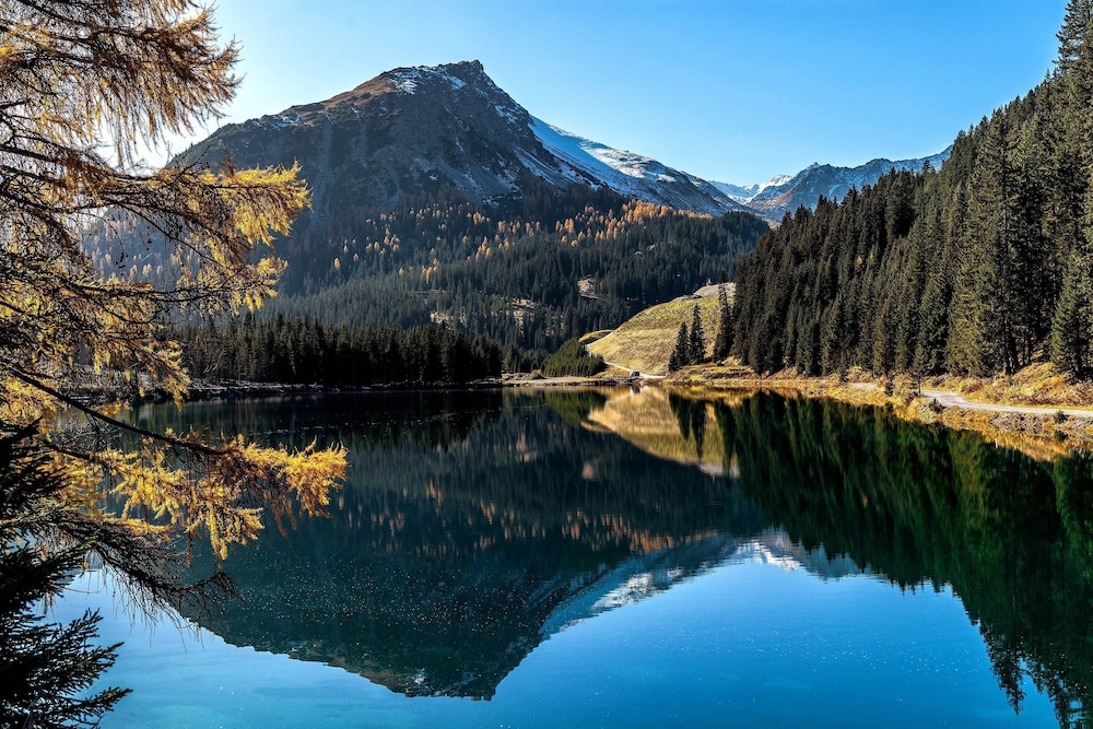 Home Hotel Arosa 36/50
