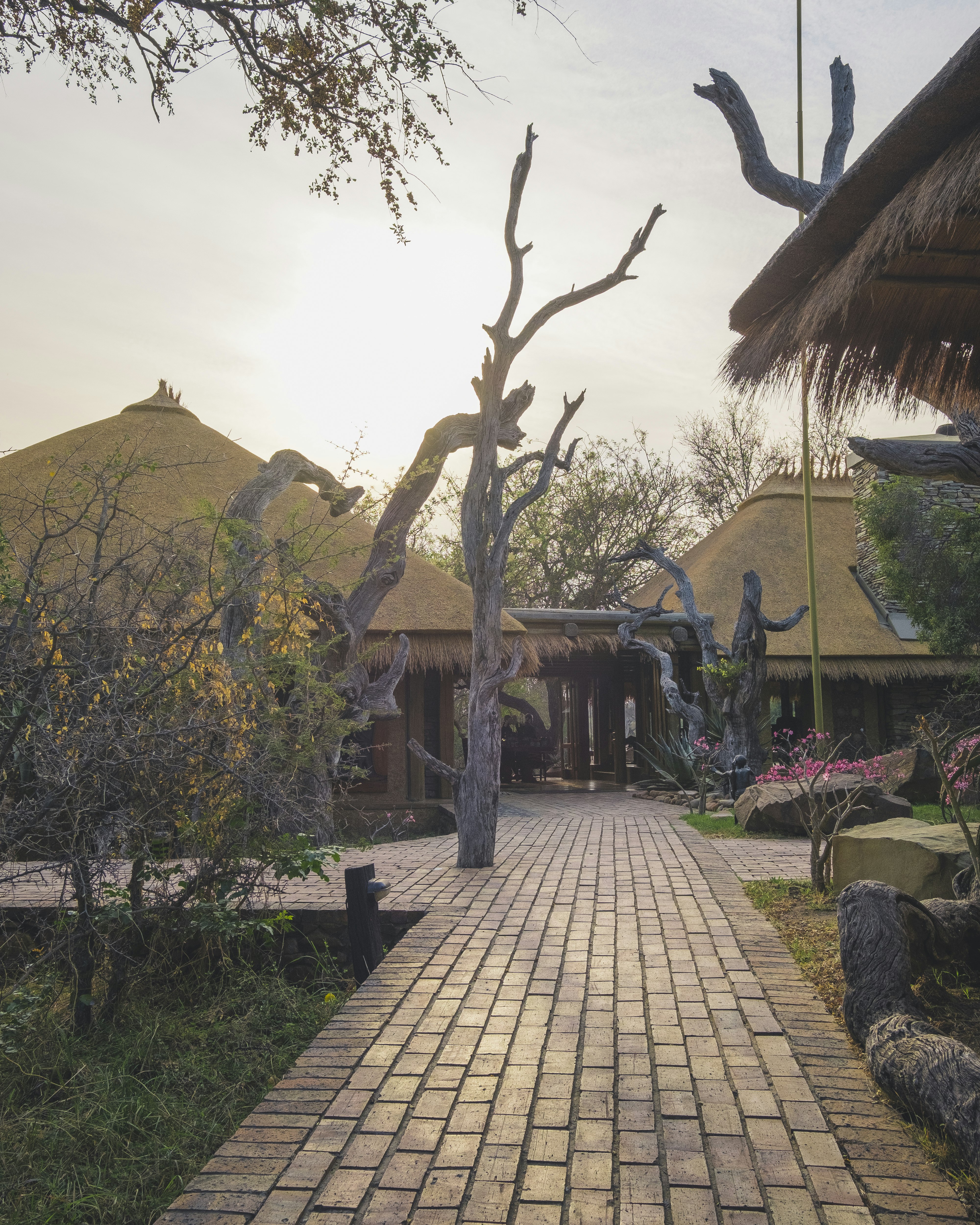 Camp Jabulani 17/18