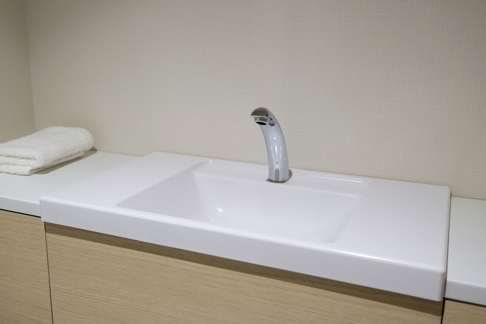Moderate, Twin Beds، Ala Hotel Kyoto 6/6