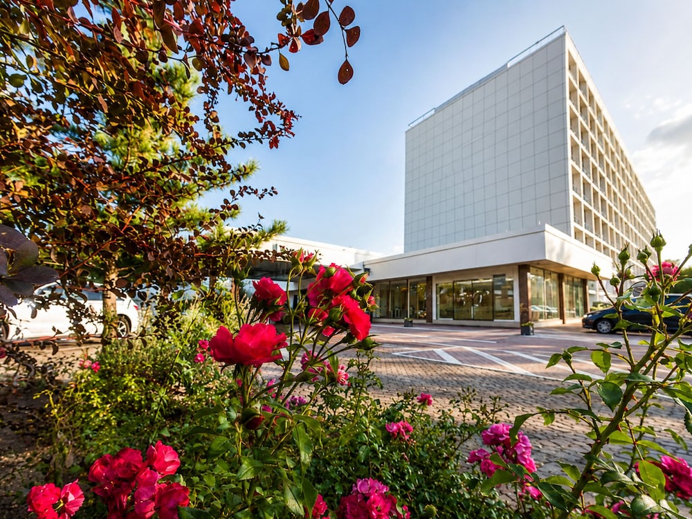 Sunday Hotel Main Taunus Frankfurt/Sulzbach 3/67