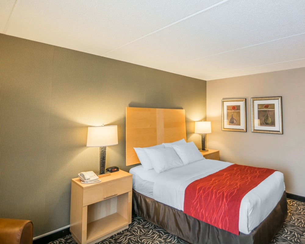 Room, Double Bed, Accessible