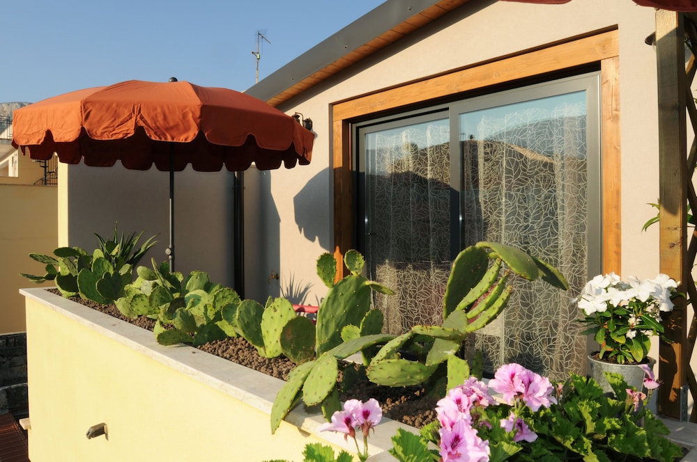 Terrasole B B 2/50