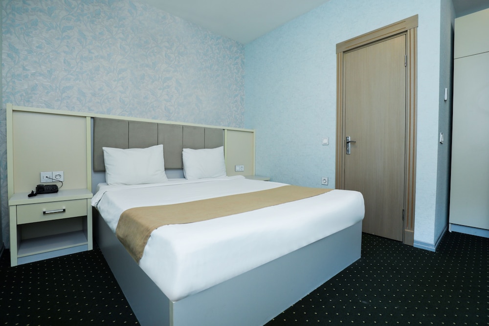 Alis Hotel Baku 14/37