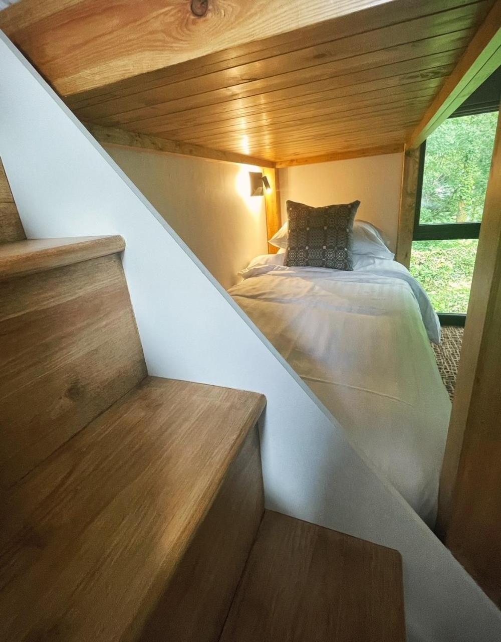 Family, Lodge, Suite