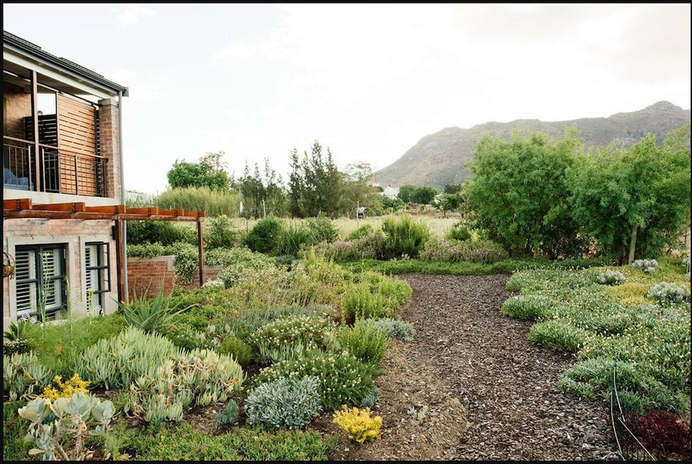 Vineyard Views Country House 43/50