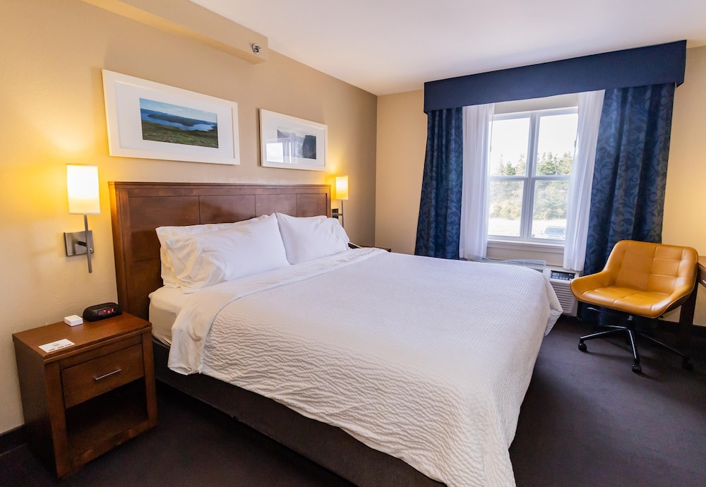 Deer Lake Horizon Hotel, BW Signature Collection 15/58