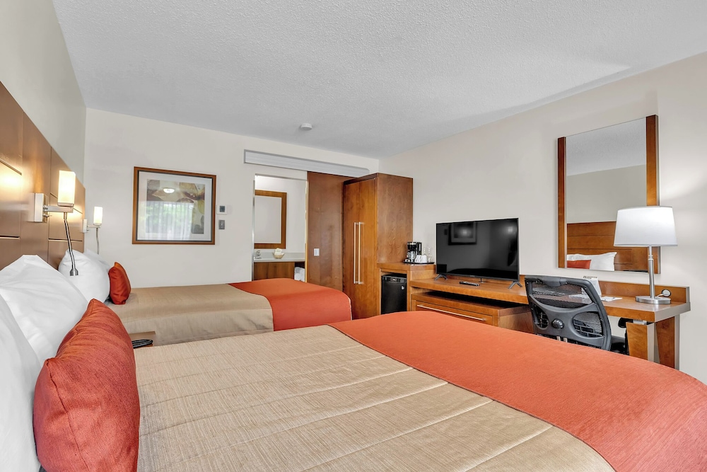 Motel Adam 50/70