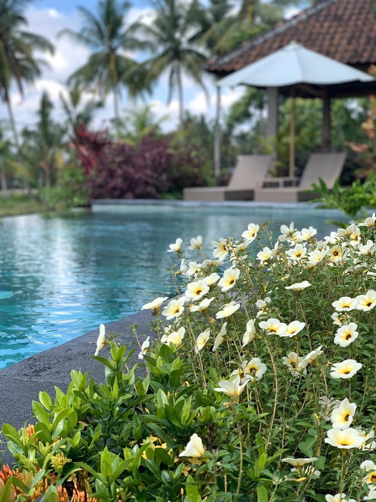 Paraiso Cottage Ubud 29/46
