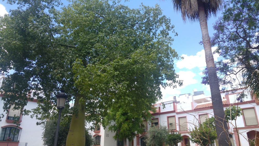 Hospederia V Centenario 44/50