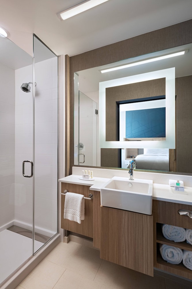 SpringHill Suites by Marriott Dallas Richardson/University Area 11/51