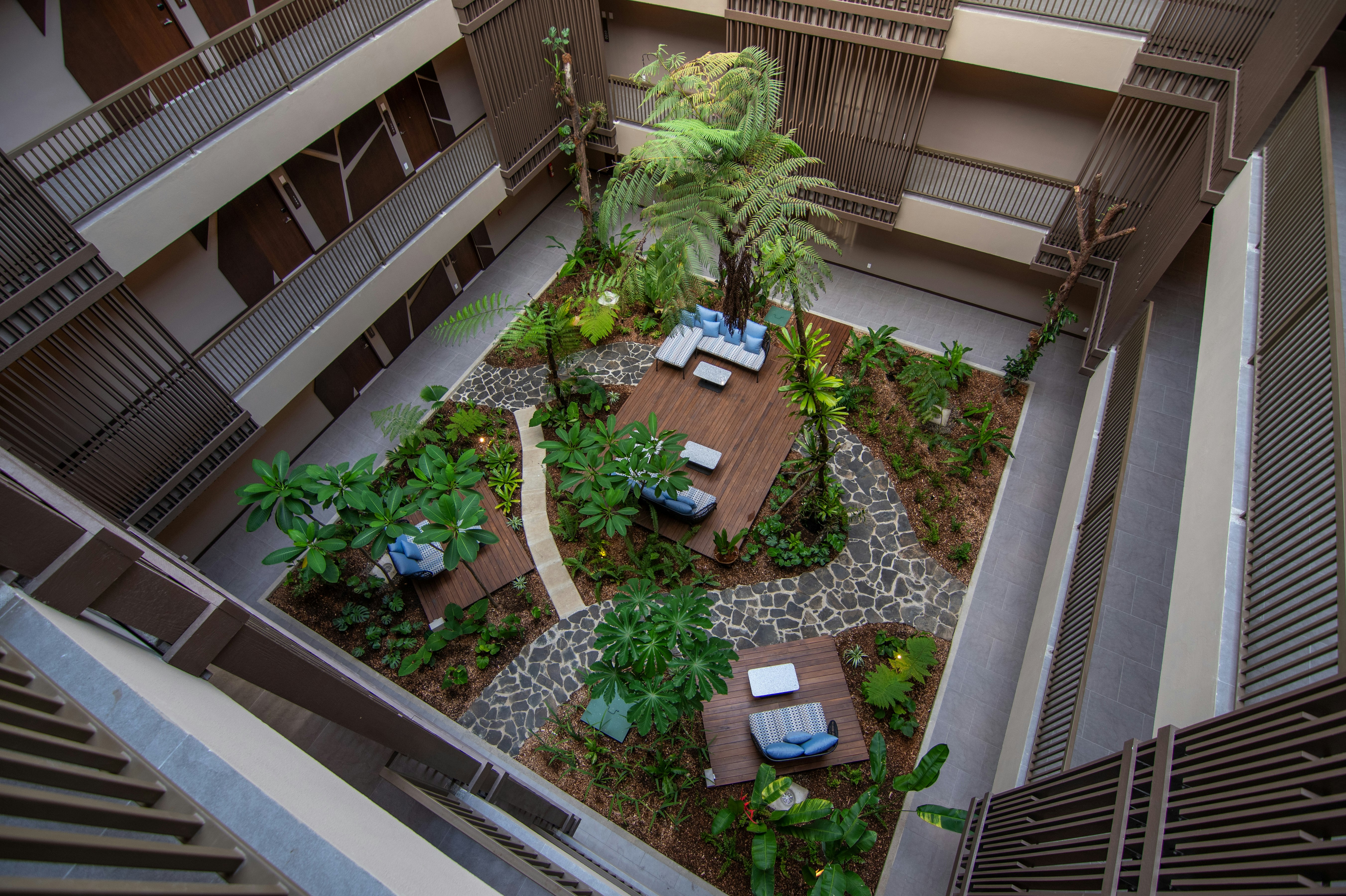 Botanika Osa Peninsula, Curio Collection by Hilton 7/73