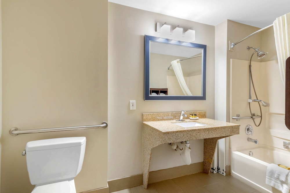 Best Western Plus McDonough Inn & Suites 20/55
