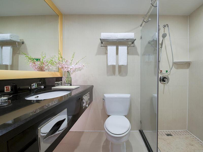Vienna Hotel (Dongguan Changping Avenue) 57/57