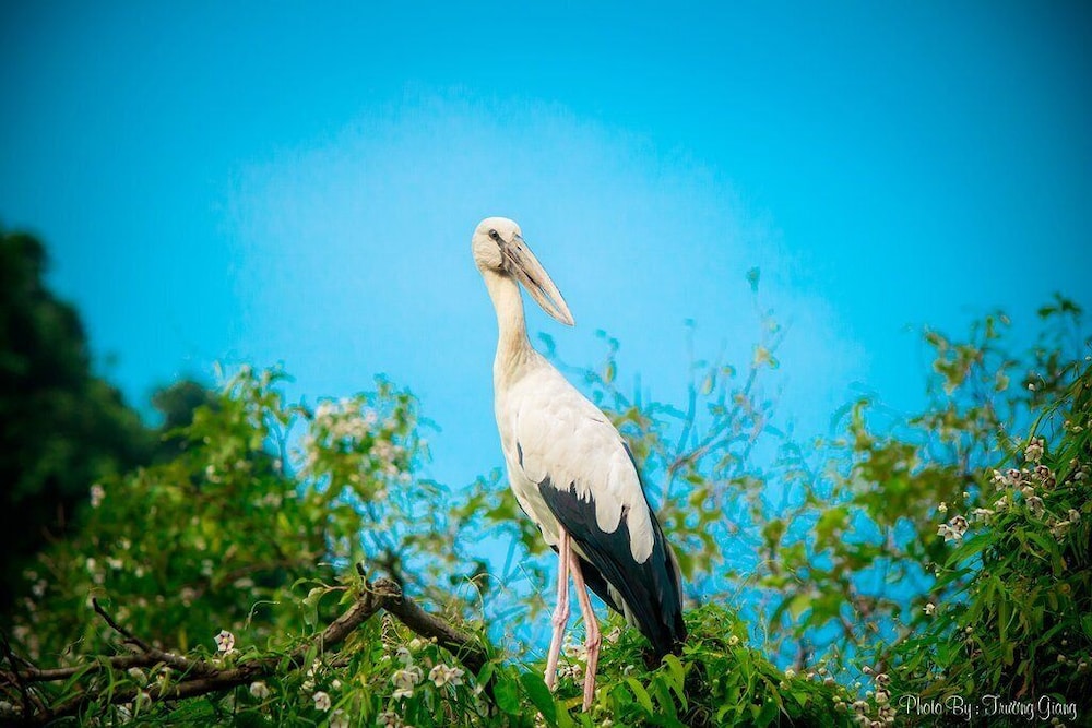 Little Tam Coc 45/50