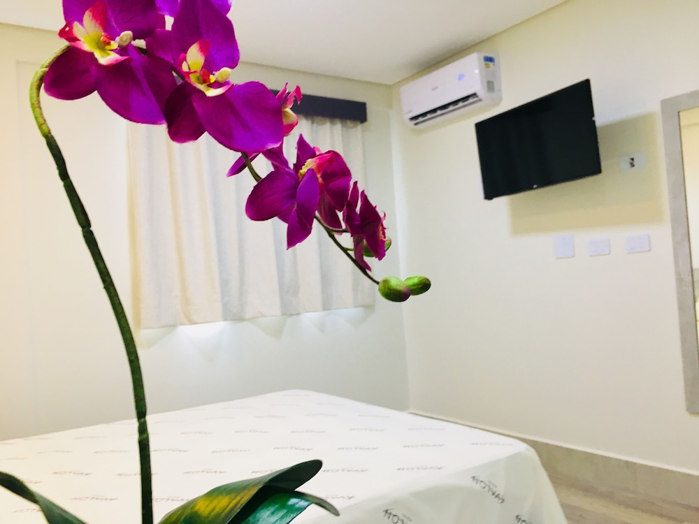 Avalon Hotel 43/49