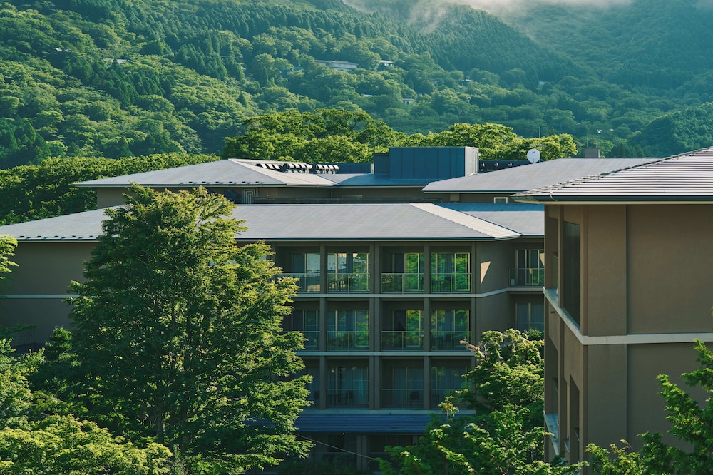 箱根翡翠 写真5