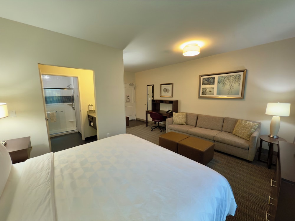 Staybridge Suites Carlsbad/San Diego 21/73