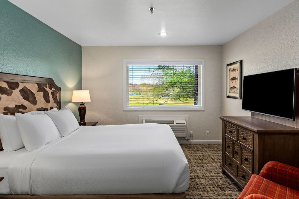 1 Bedroom, Standard, King Bed, Queen Murphy Bed, Kitchen
