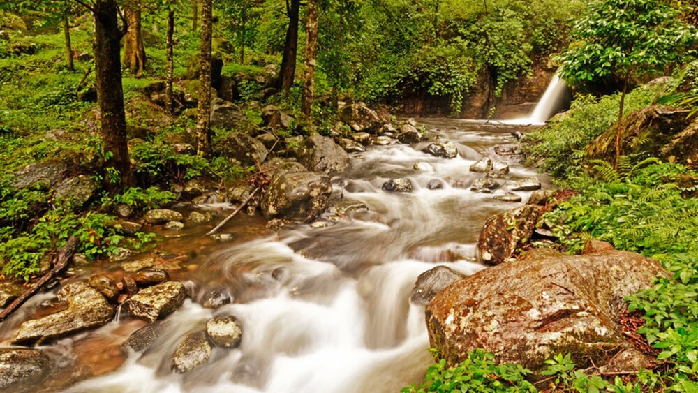 BLUE GINGER WAYANAD RESORTS 33/50