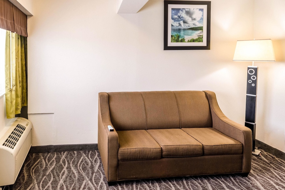 Comfort Inn Downtown Charleston 26/35