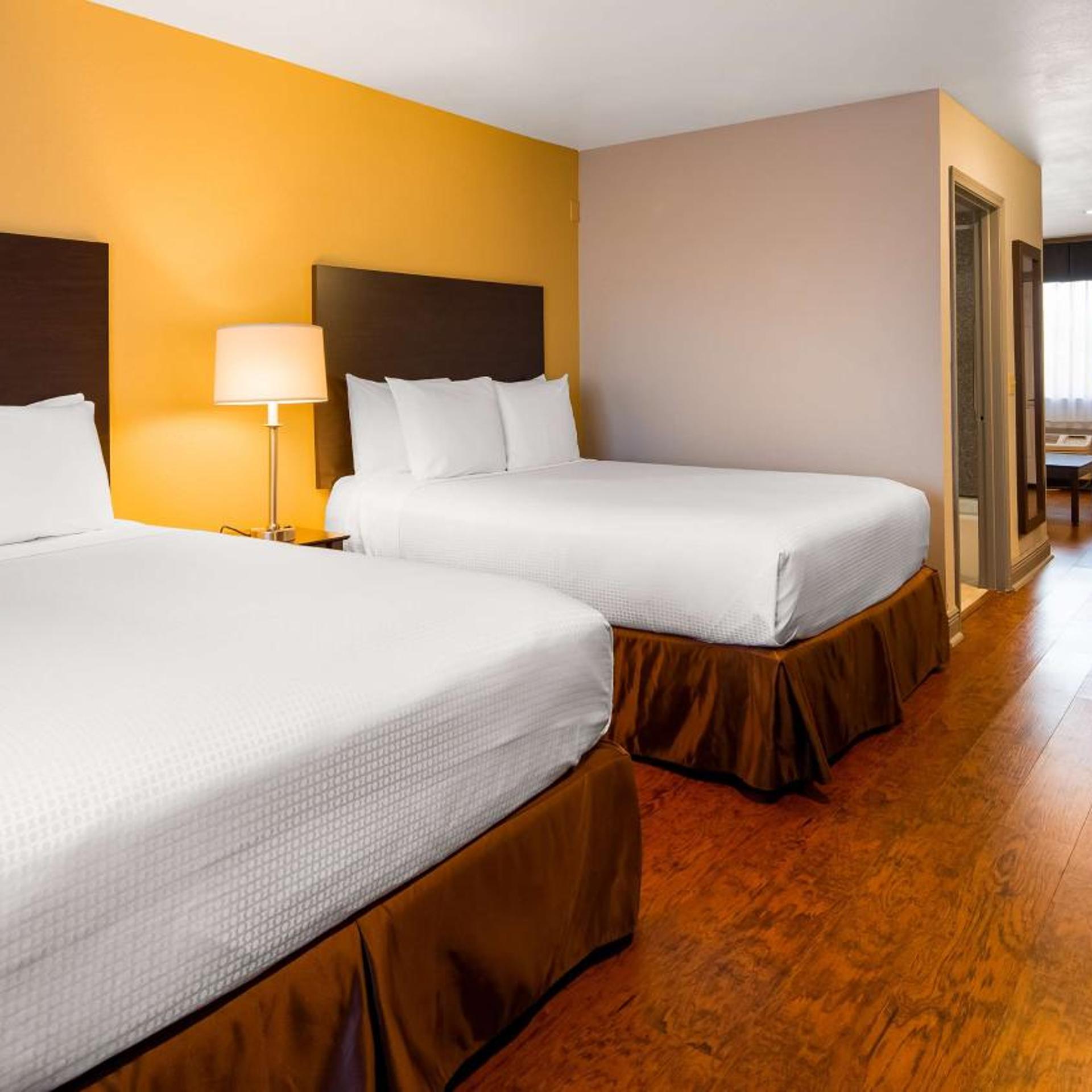 Suite, Queen Bed