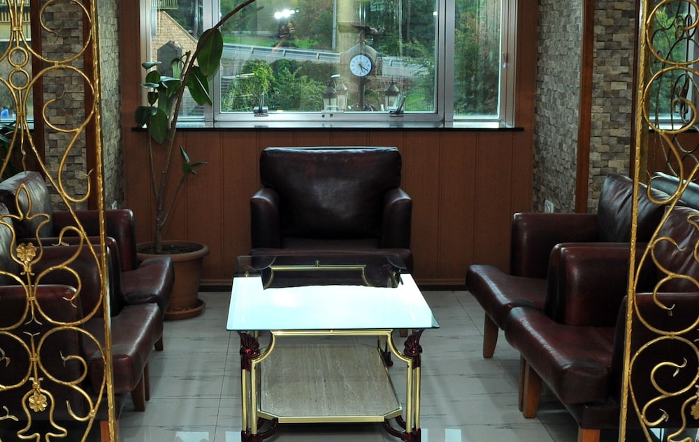 Lion City Hotel Ankara 13/50