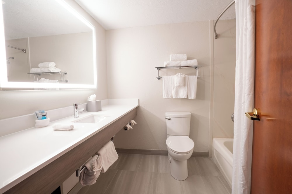 Holiday Inn Express Hotel And Suites Orange City 63/63