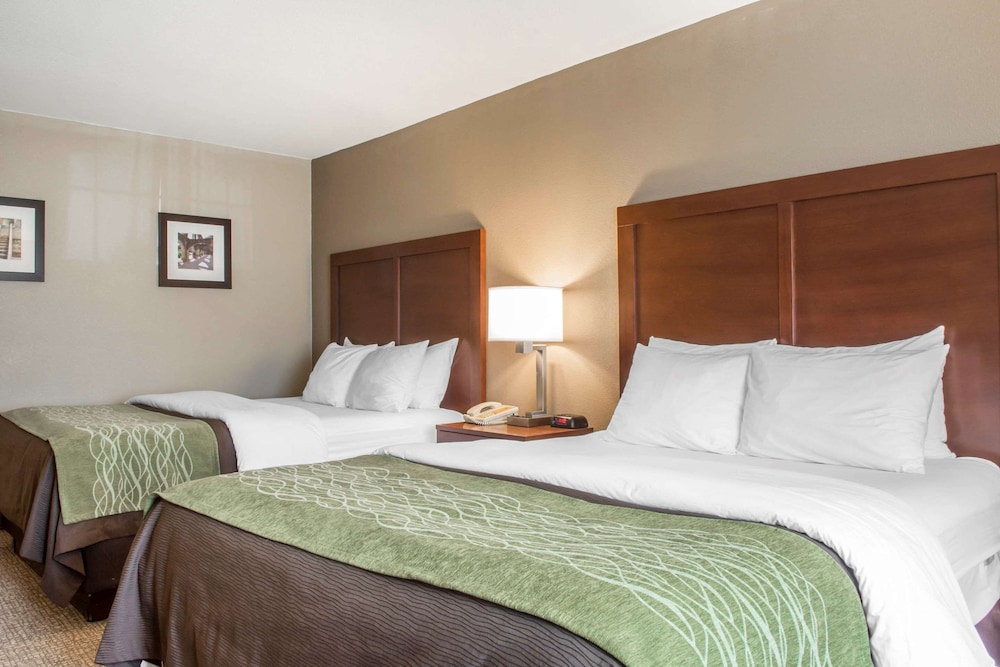 Comfort Inn Edinburg South Texas 7/46