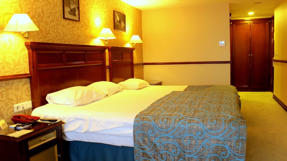 Topkapi Inter Istanbul Hotel 7/69