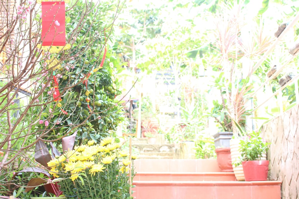 Phu Quoc Village 67/71