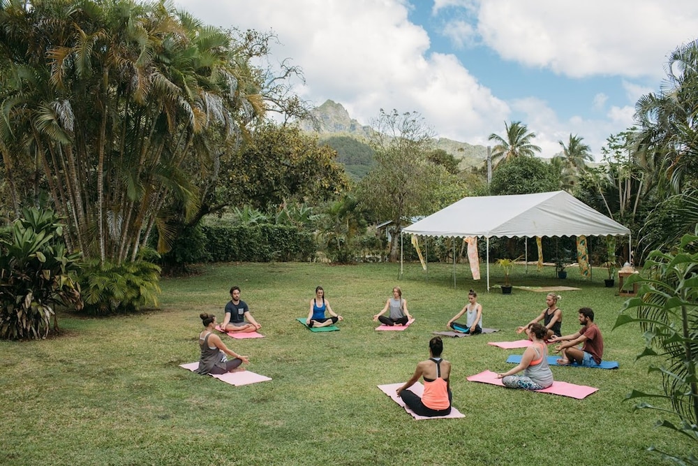 Ikurangi Eco Retreat 36/50