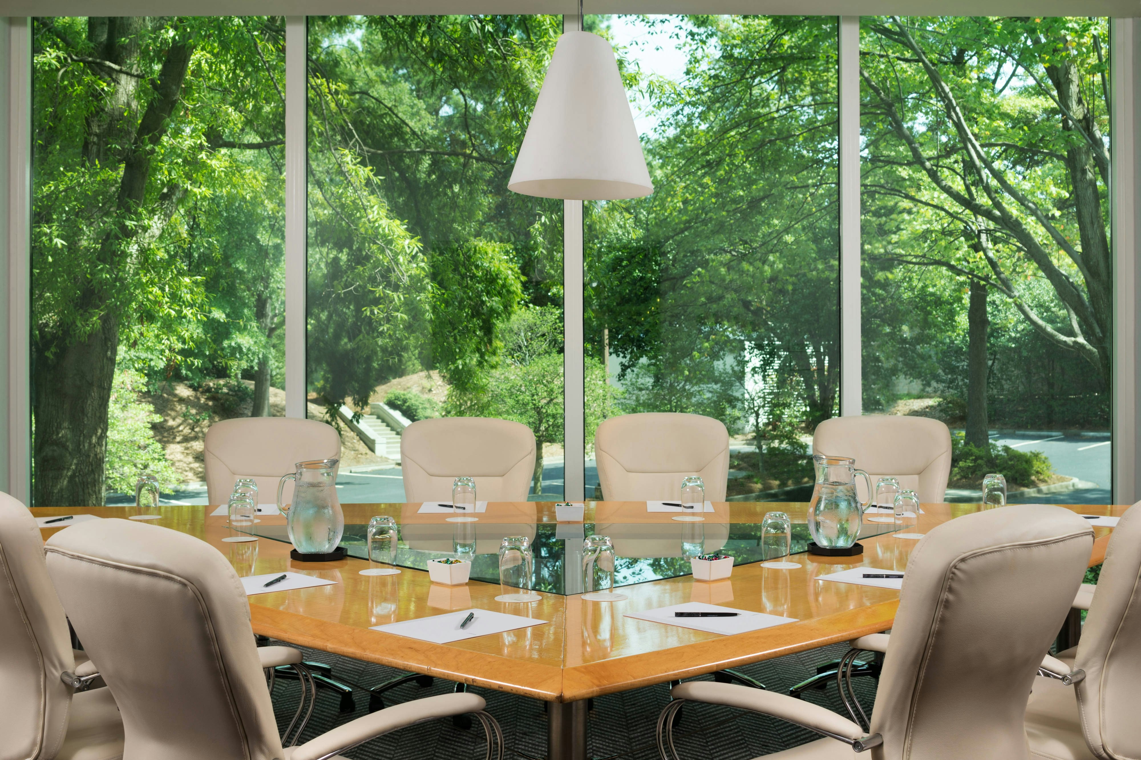 Le Meridien Atlanta Perimeter 24/30